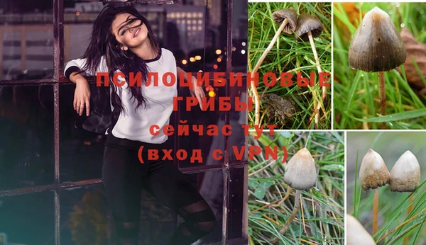 мдпв Новокубанск