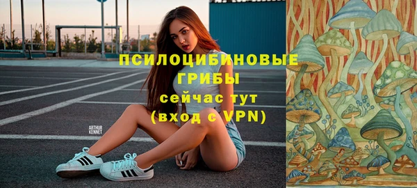 мдпв Новокубанск