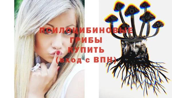 кокаин колумбия Новозыбков